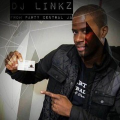 PCJ INT Dj Linkz