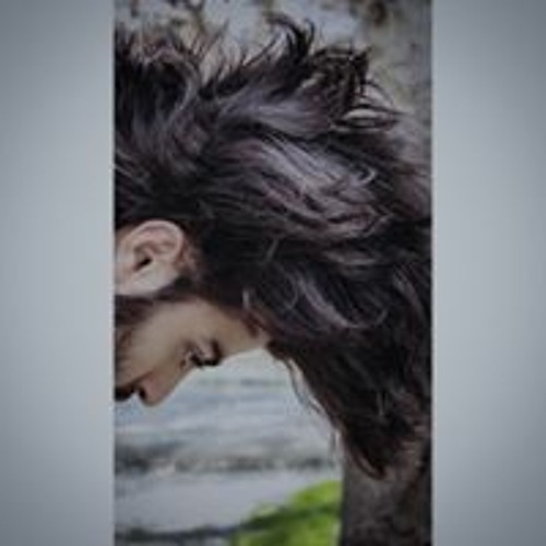 Amirhosein Aminy’s avatar
