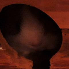 Emiil