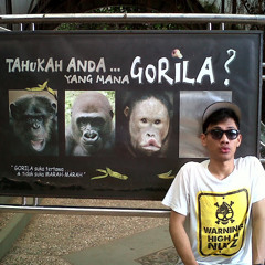 toufik hidayat