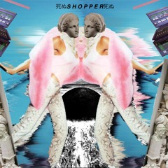 s h o p p e r