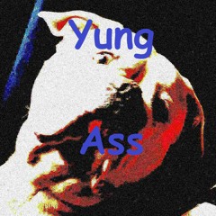 Yung Ass