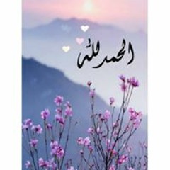 tahzeeb hafi