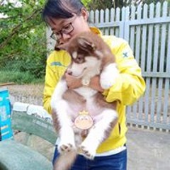 Như Lê