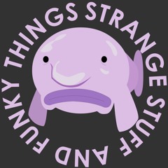 Strange Stuff And Funky Things