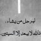 ناصر محزم