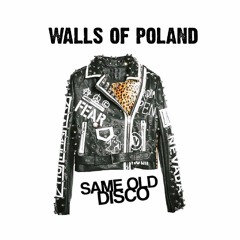 Walls Of Poland