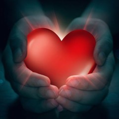Paul Van Dyk – Safe Haven