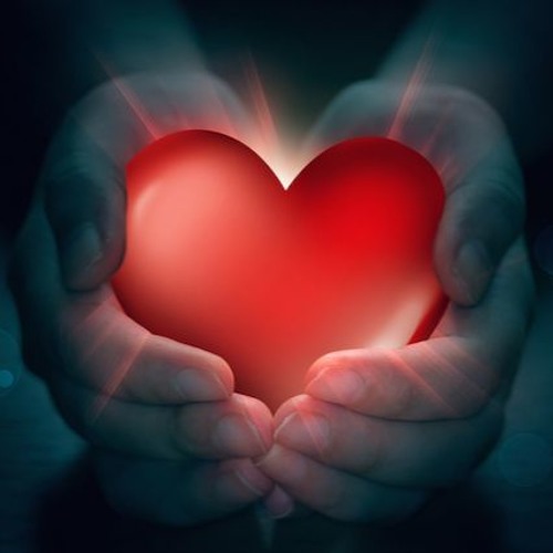 Paul Van Dyk – Safe Haven