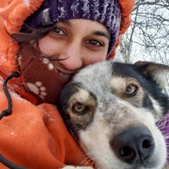 Sled Dogs, Cold Toes, and a Gal From Texas