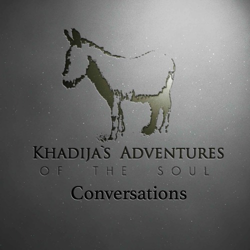 Adventures of the Soul Conversations’s avatar