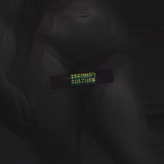 Techno's Culture