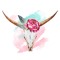 Wild Rose Maiden & The Bull
