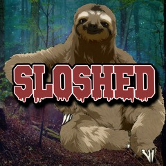 Sloshed