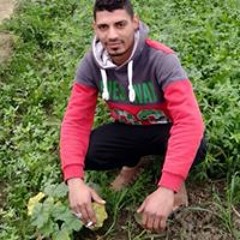 Amer