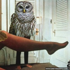 Ray Owls