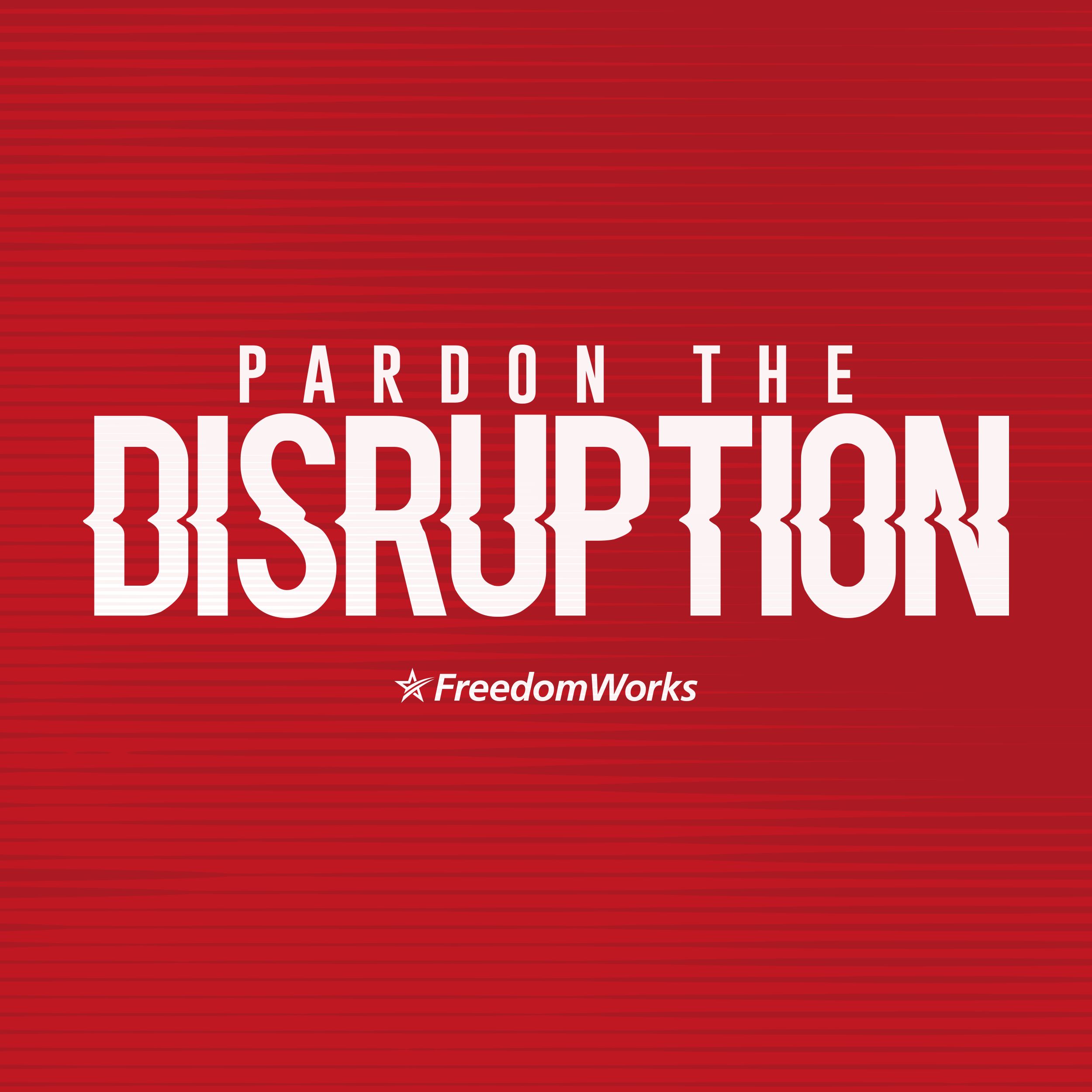 Pardon The Disruption