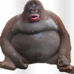 Colby Ackley