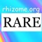 Rhizome