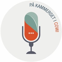 På kammerset i COWI