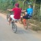 Free Live