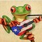 Abraham Jr Acevedo