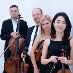 Leopold Mozart Quartett
