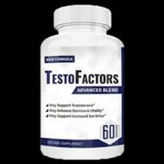 Testo Factors