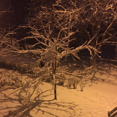 Андрей Горячковский