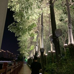 건