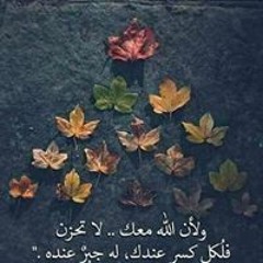 ماي واي