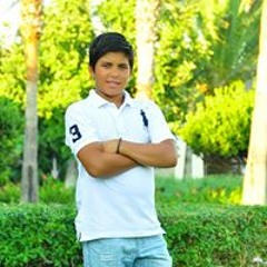 Elias Gerges