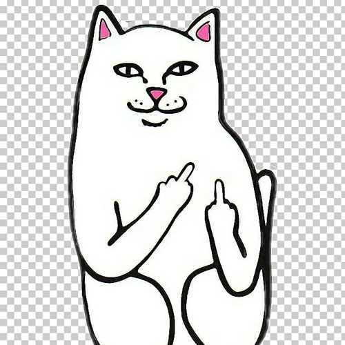 Кот показывает фак