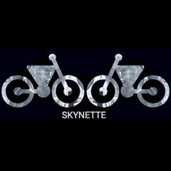 SKYNETTE