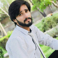 Chota Nawab Ayub