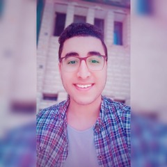 Amr Alaa