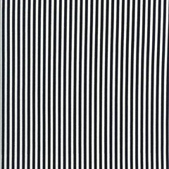 FatWhiteStripe
