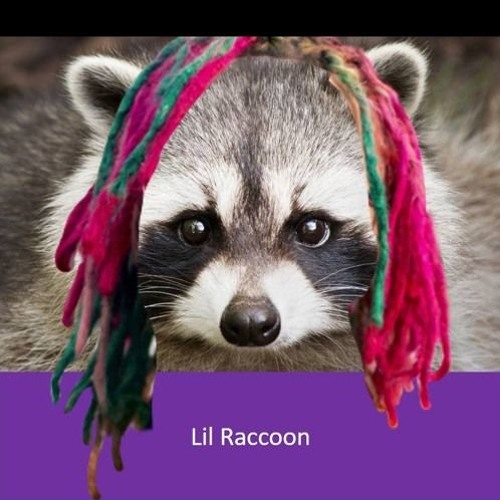 Stream Lil Raccoon music | Listen to songs, albums, playlists for free ...