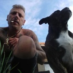 daniel werner  ( ᛫ᚷ‍ᚨᚱᛗ᛫ )