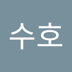 손수호