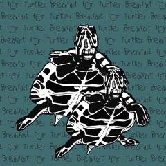 breakfastforturtles