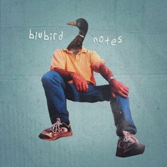 Blubird Band