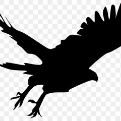 Hawk DJ