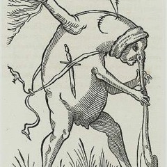 fathyenn