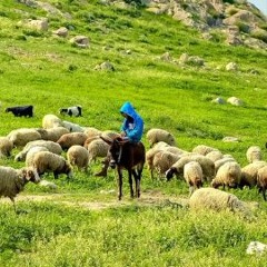 Qadash Alahayam