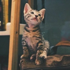 <3