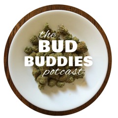 Bud Buddies Podcast