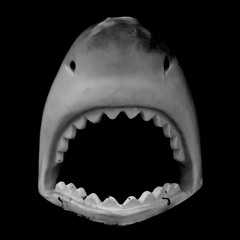 Guillotine Shark