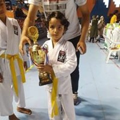 عمرو الفرنساوي