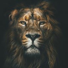 عبد الفتاح سويد